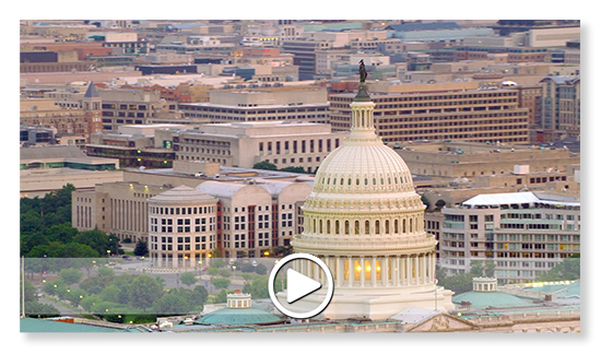 Click to view in browser