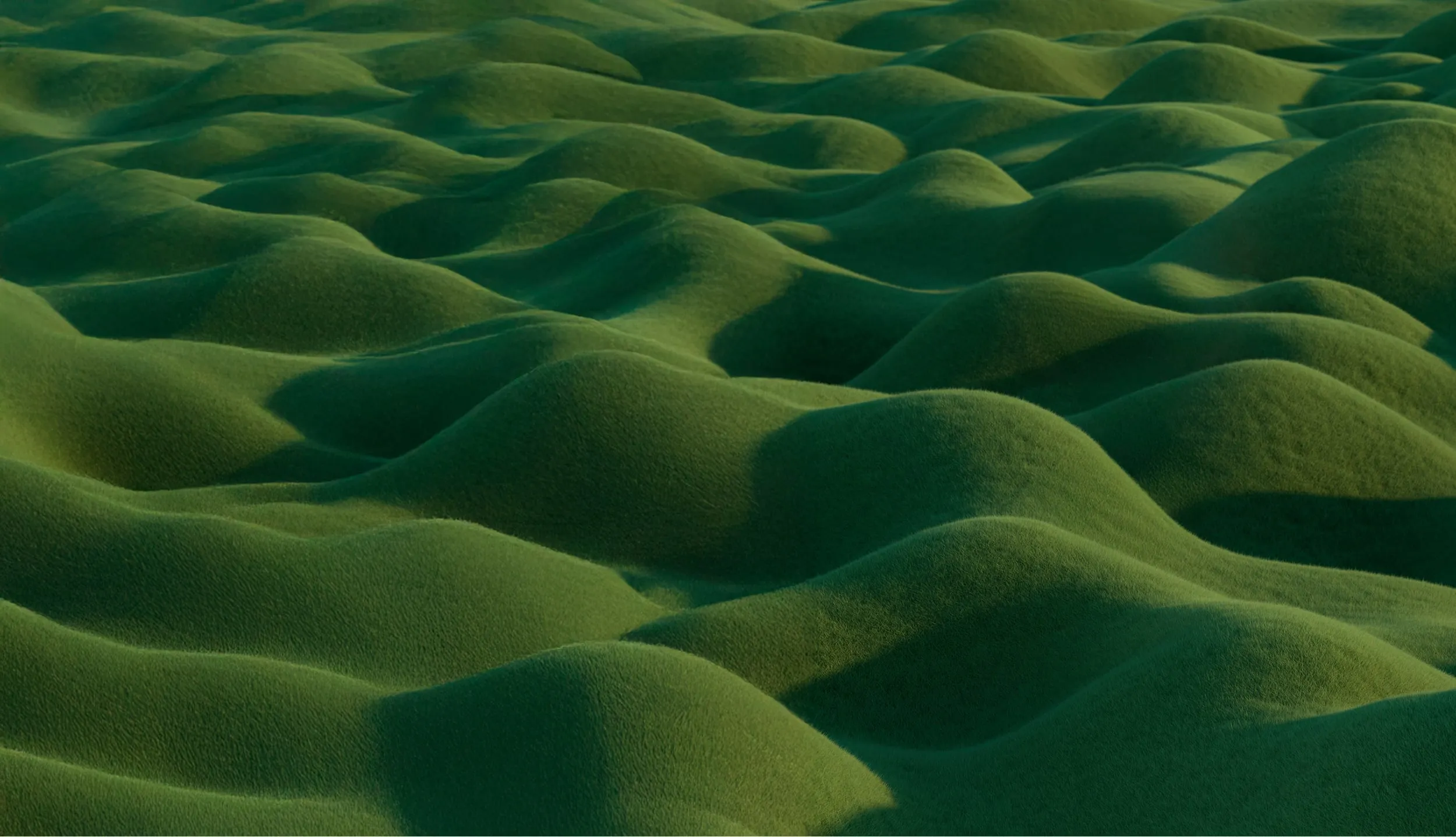 Fields of rolling grass