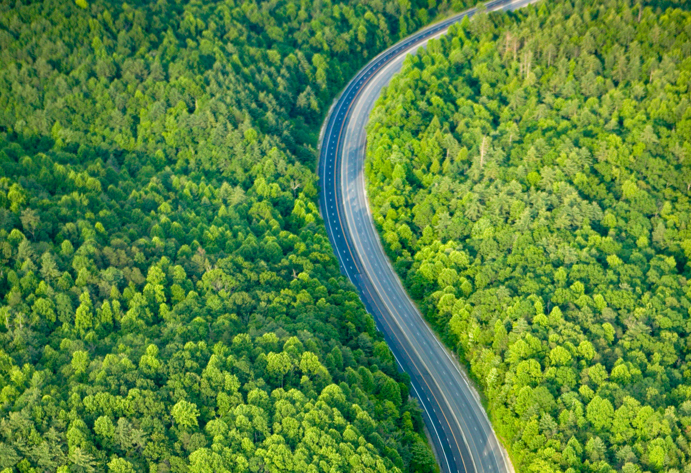 Road in the green mountains