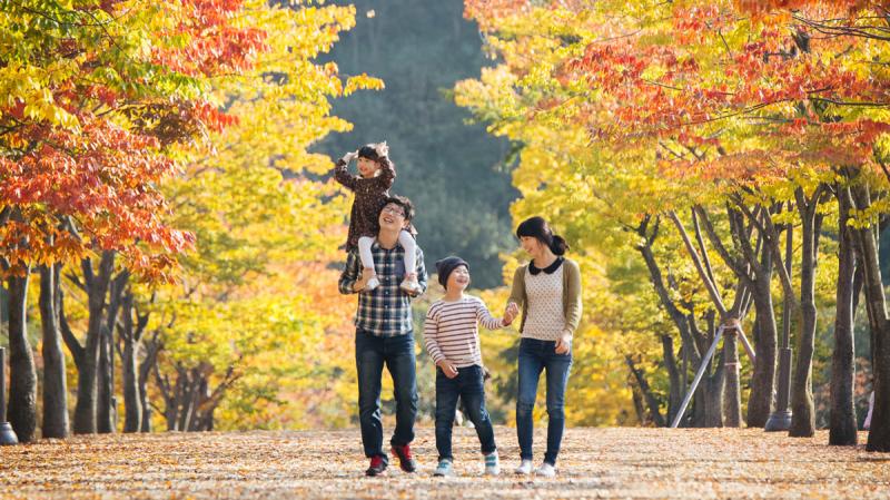Family of four waling through the part