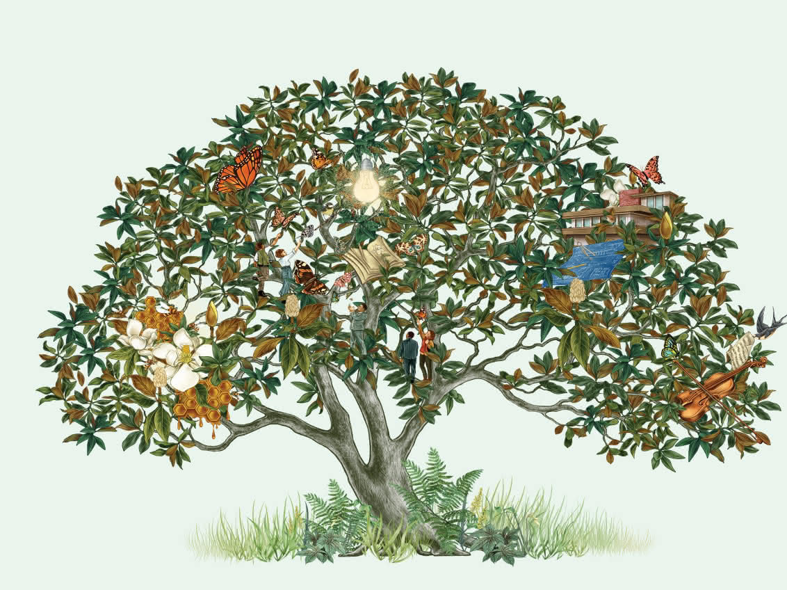An illustration of a tree. Amongst the branches people interact with various objects, such as books, violins, and homes.